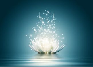 COMMENT AUGMENTER SES VIBRATIONS SELON L’ISLAM