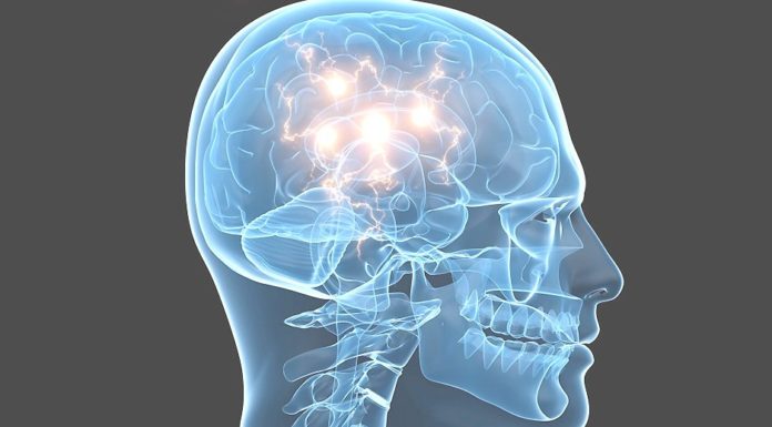 Développez la puissance de votre cerveau via le dhikr