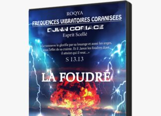 Protégé : ESSAI FREQUENCES VIBRATOIRES CORANISEES Djinn Coriace