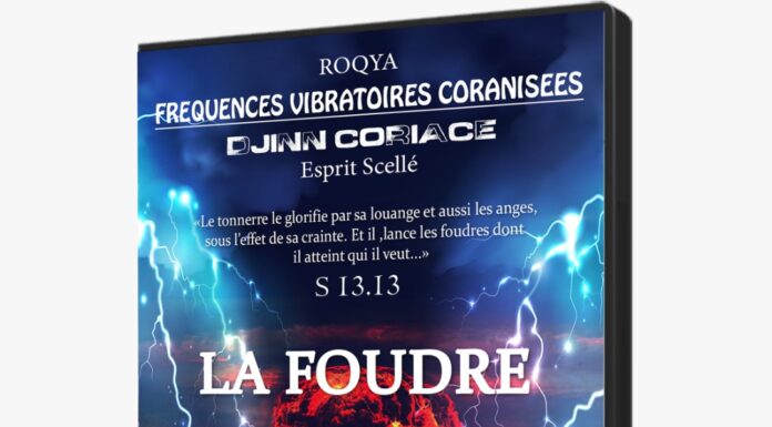 Protégé : ESSAI FREQUENCES VIBRATOIRES CORANISEES Djinn Coriace