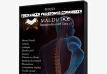 Protégé : ESSAI FREQUENCE VIBRATOIRE MAL DU DOS