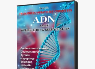 Le miracle des FVC/ADN-YASIN et les aliments HALAL/HARAM