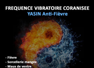 LANCEMENT FVC TRANSCENDANCE BAQARA & YASIN ANTI-FIEVRE (faites la mise à jour)