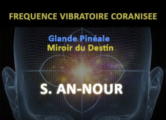 LA GLANDE PINEALE LE MIROIR DU DESTIN (NOTICE MISE A JOUR)