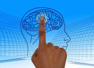 LIBERER VOTRE LIBRE ARBITRE A TRAVERS LES FREQUENCES VIBRATOIRES CORANISEES (FVC)