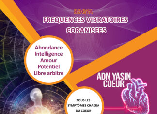 SYMPTÖMES DES 9 CHAKRAS FREQUENCES VIBRATOIRES ADN YASIN COEUR