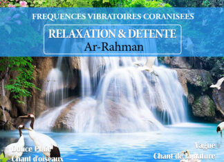 CETTE POCHETTE DE FREQUENCE VIBRATOIRE CACHE UN SECRET CONTRE LES POSSESSIONS INVISIBLES