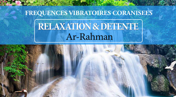 CETTE POCHETTE DE FREQUENCE VIBRATOIRE CACHE UN SECRET CONTRE LES POSSESSIONS INVISIBLES