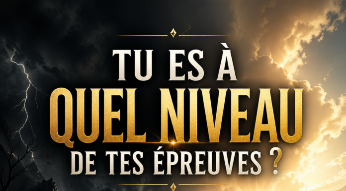 TU ES À QUEL NIVEAU DE TES ÉPREUVES ?