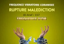 FVC Rupture Malédiction : quand les fissures d’une lignée empêchent votre destin de rayonner